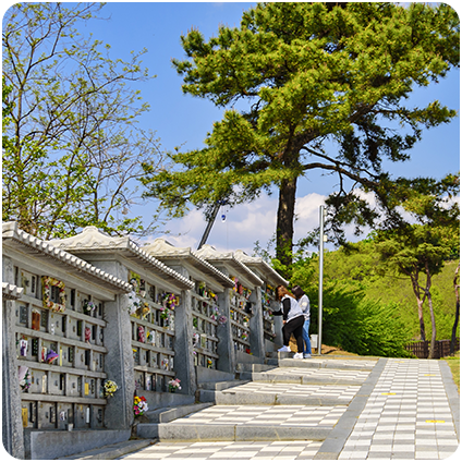 자연장에 필요한 ‘생분해 기준’-2